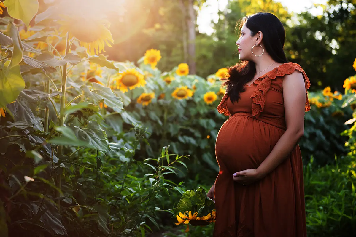 Maternity Sunflower Photo Shoot