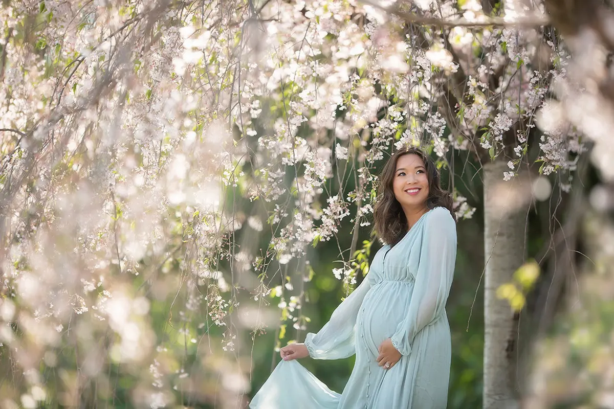 cherry blossom maternity 3