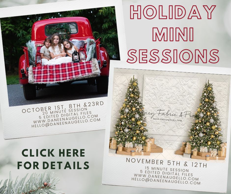 Daneen Augello Holiday Mini Sessions