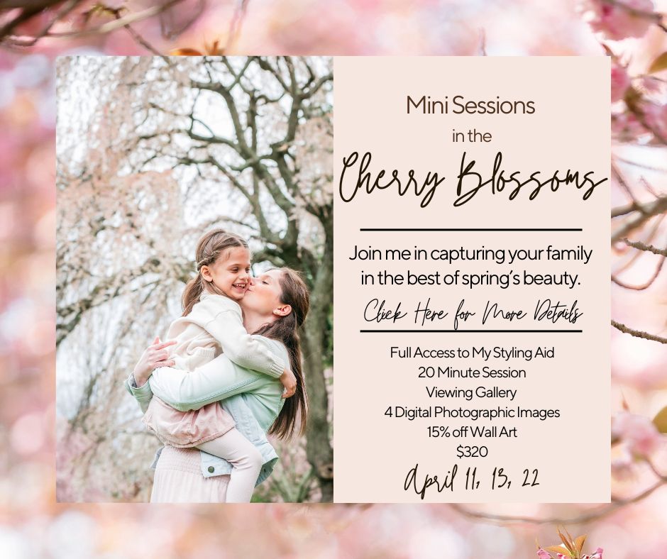 Cherry Blossom Mini Photography Sessions in April in New Jersey