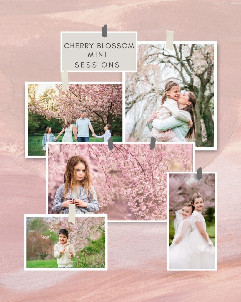 Cherry Blossom Photography Sessions Mini