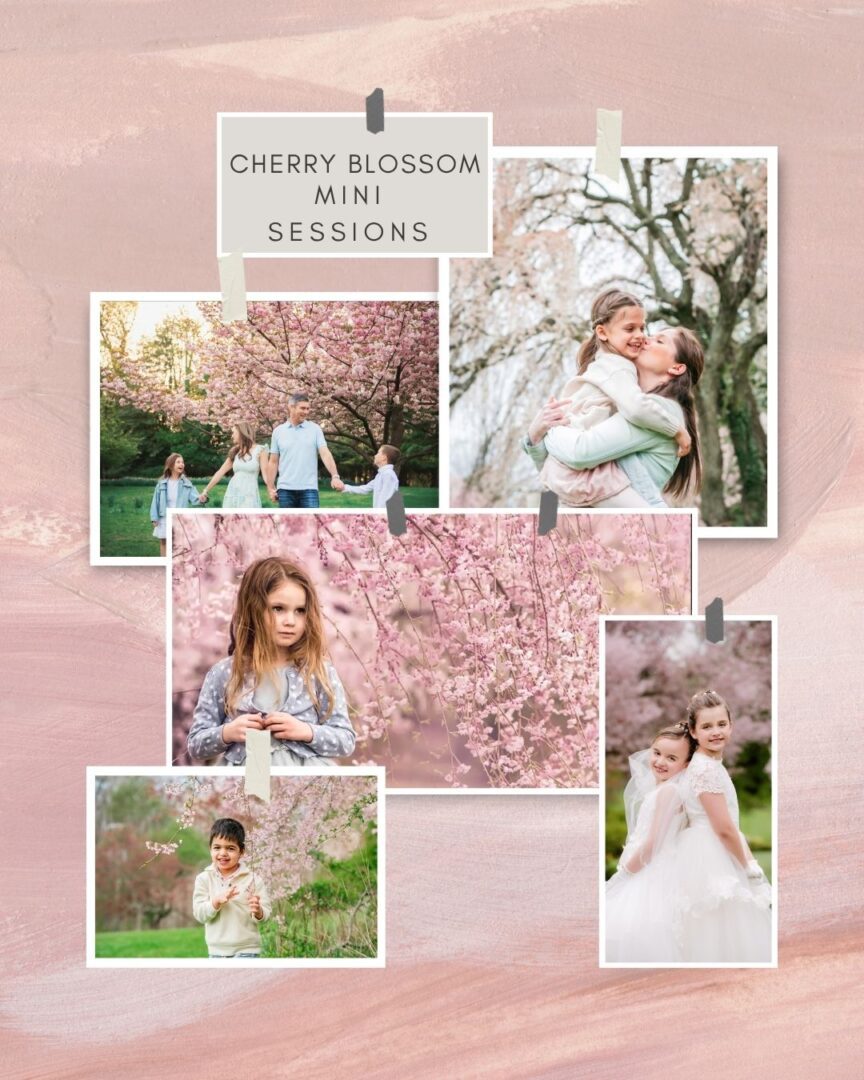 Cherry Blossom Photography Sessions Mini